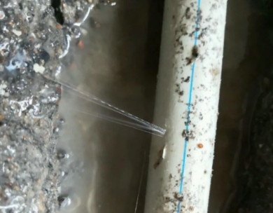 拉萨市测漏水哪家好