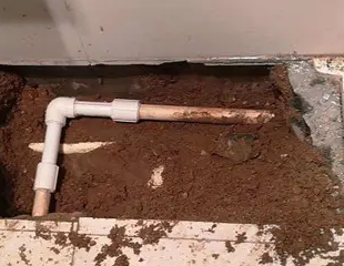 拉萨市测漏水哪家好