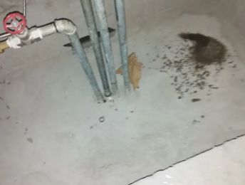 拉萨市卫生间测漏水价格明细