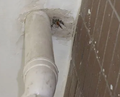 拉萨市漏水检测哪家好